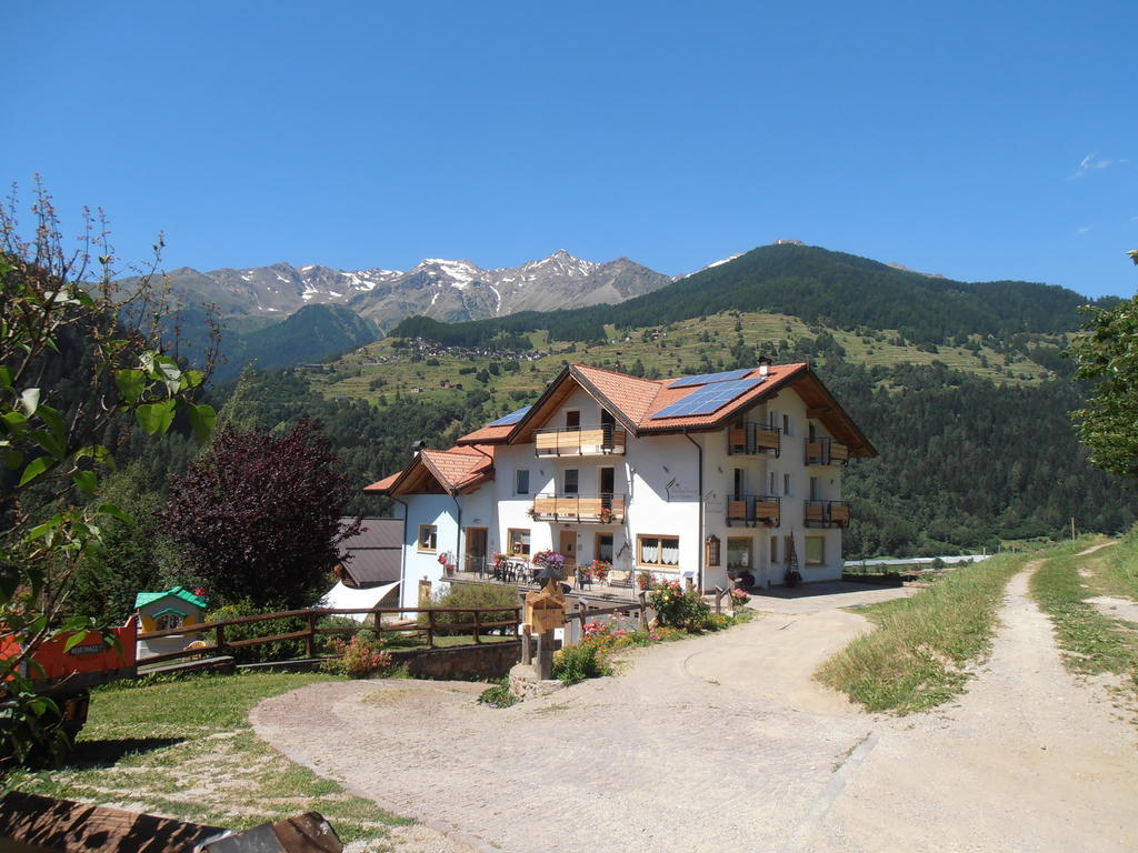 Bed and Breakfast Baita Scaia Cogolo Exteriér fotografie