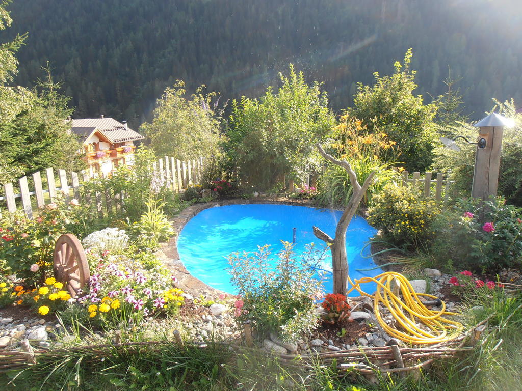 Bed and Breakfast Baita Scaia Cogolo Exteriér fotografie